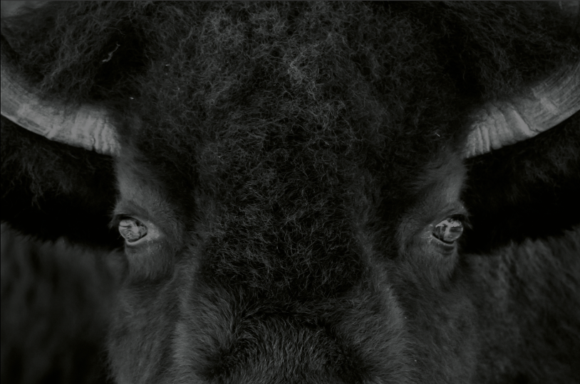 Interjera salons | Revolu2ion